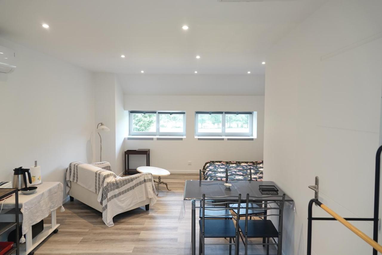 Les Grandes Maisons Coeur Foret D'orleans Et Espace Bien-etre Jacuzzi Hammam Appartement *